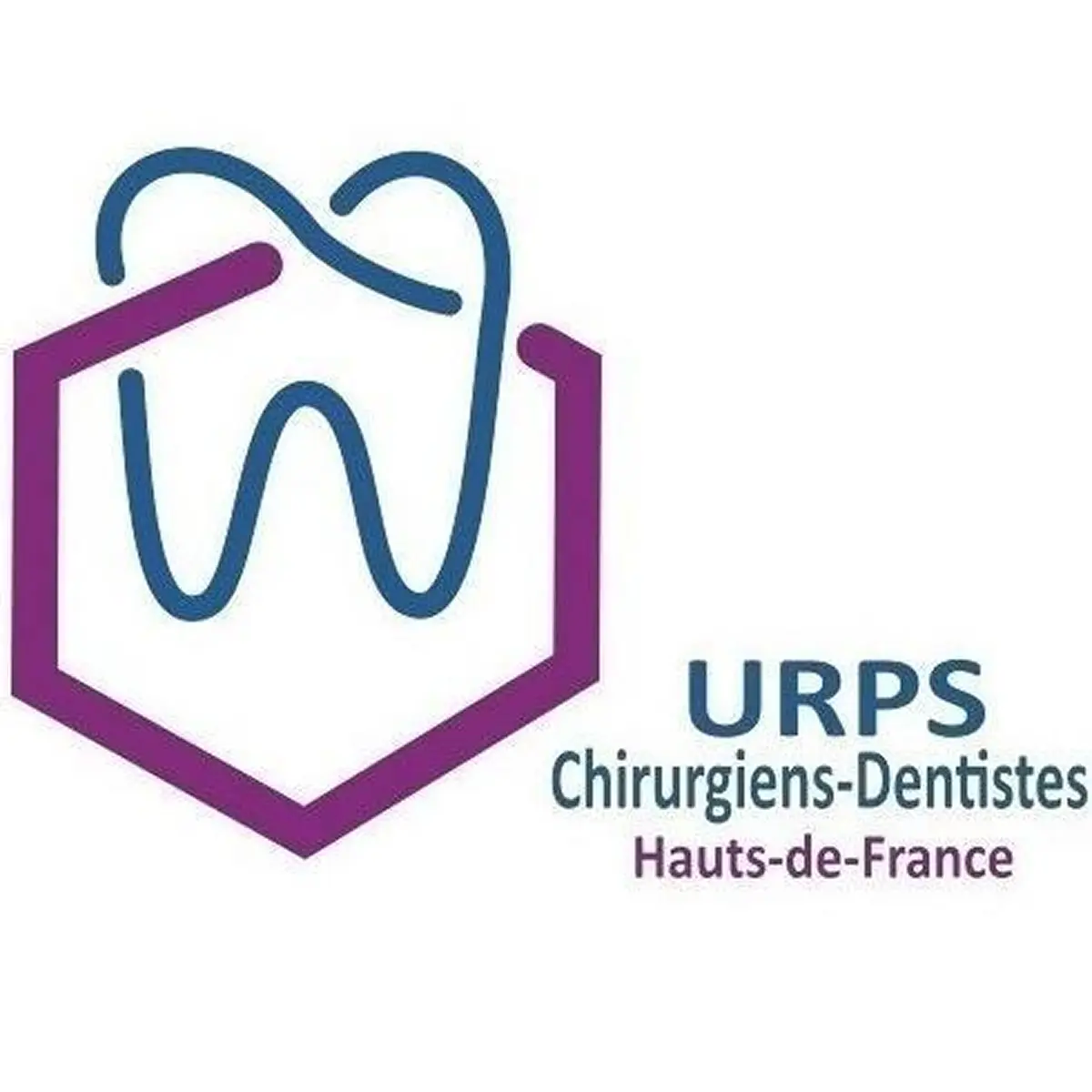 Plateforme avec zone membre pour l'URPS chirurgiens-dentistes à Lille : gestion des formations, liste d'attente et petites annonces modérées.